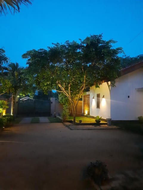 Night, Garden view