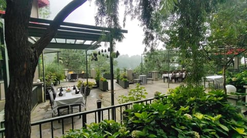 7 Pines Kasauli Hotel in Himachal Pradesh