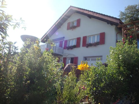 Property building, Garden view