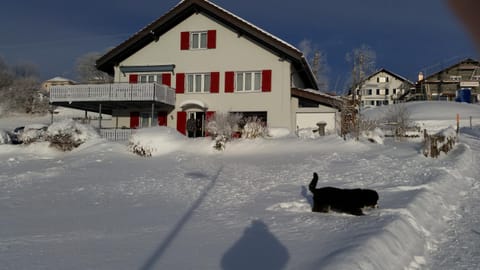 Property building, Winter