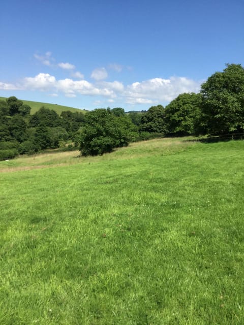 Oxbridge Farm Bed and Breakfast in West Dorset District