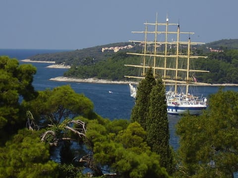 Sea view, Area and facilities