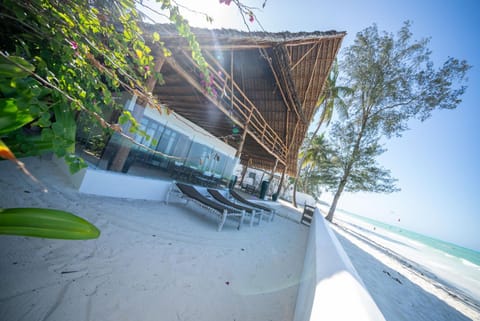 Beachfront Turtle House ZanzibarHouses Villa in Unguja North Region