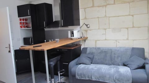 Studio Cosy Sur Les Quais De Saint Michel Apartment in Bordeaux