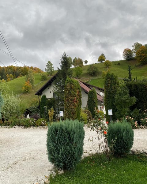 Property building, Summer, Garden