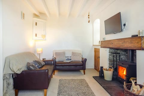 Braich-Y-Celyn Lodge Maison in Aberdyfi