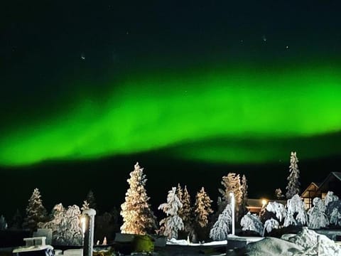 Night, Neighbourhood, Natural landscape, Winter