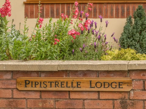 Pipistrelle Lodge House in East Devon District