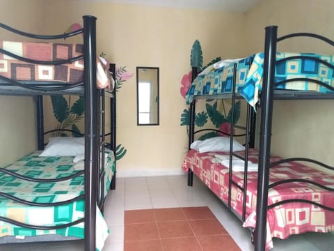 Hostel Áabilo'ob Bed and Breakfast in Progreso