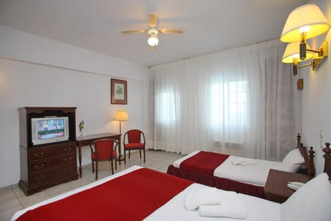 Dolphin Hotel Hôtel in Skopelos