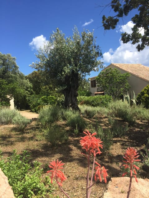 Domaine Valdaronu House in Zonza