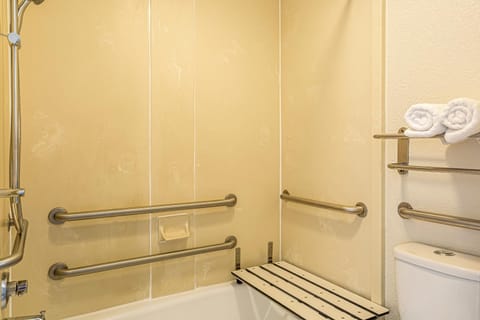 Shower, Toilet, Bathroom, Facility for disabled guests