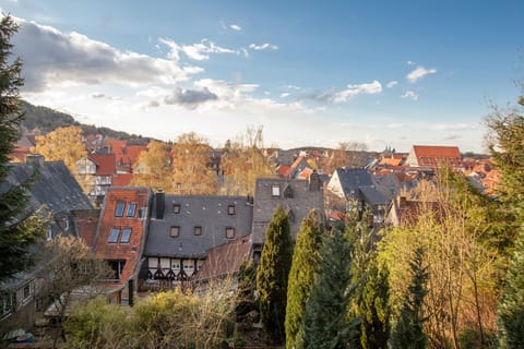 Ferienwohnung Hahne Condo in Goslar
