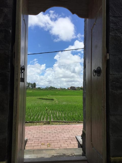 Facade/entrance, Garden view