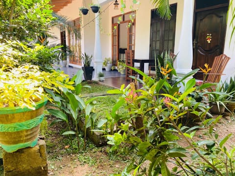 Patio, Day, Garden, Garden view