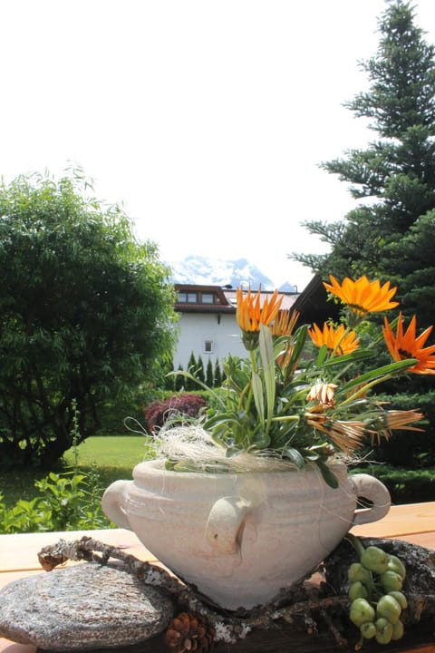 Haus Tirolerland Bed and Breakfast in Mayrhofen