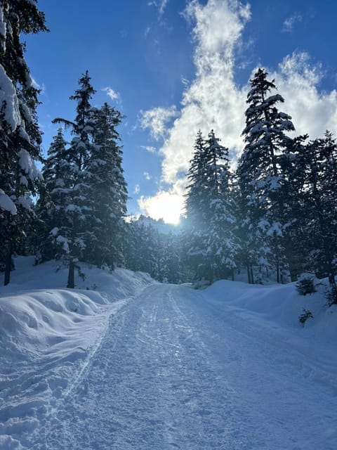 Natural landscape, Winter