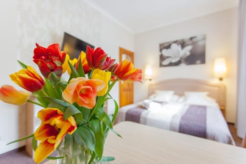 Villa Anna - FREE parking Bed and Breakfast in Gdansk