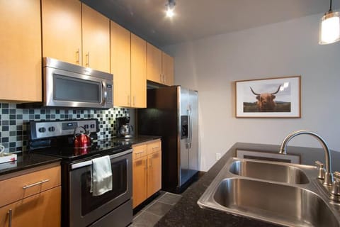 Kitchen or kitchenette, dishwasher, minibar, pet friendly, stove