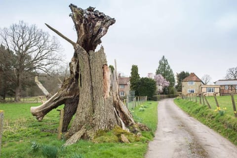 Ockhams Farm Guest House House in Sevenoaks District