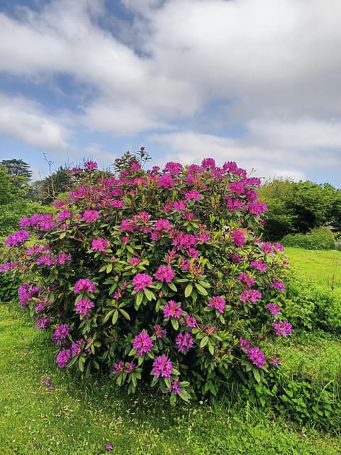 ty jeanette House in Brittany