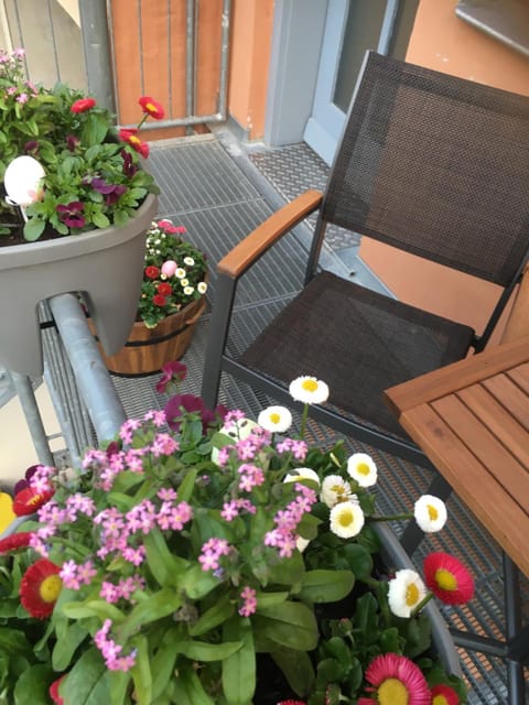 Patio, Balcony/Terrace