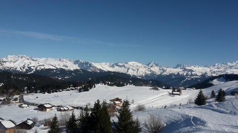 Prazdelys Apartment in Haute-Savoie