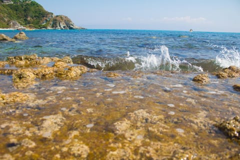 Natural landscape, Beach