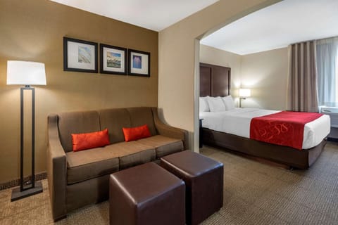 Comfort Suites Highlands Ranch Denver Tech Center Area Hotel in Lone Tree