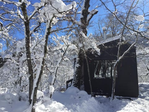 Property building, Natural landscape, Winter