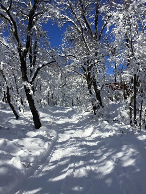 Natural landscape, Winter