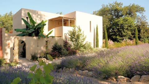 Property building, Garden view