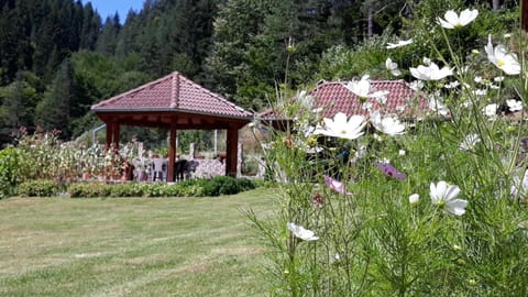 Garden, Garden view, Garden view, Mountain view, Inner courtyard view