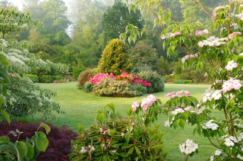 Chateau de la Foltière Bed and Breakfast in Brittany