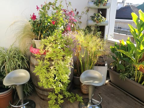 Summer, Balcony/Terrace, Balcony/Terrace