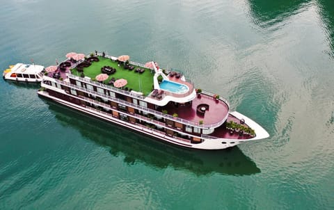 Dora Cruise Docked boat in Laos