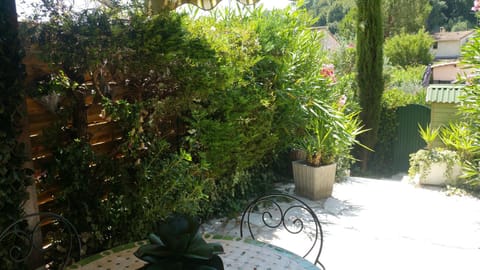 Patio, Garden, Garden