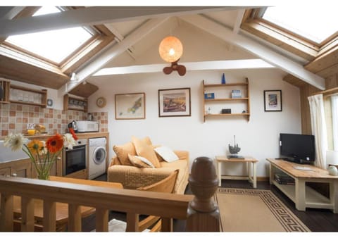 Kitchen or kitchenette, Living room, Photo of the whole room, Dining area