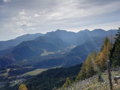 Pension Barzaunerhof Farm Stay in Carinthia, Austria