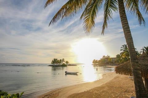 Beach, Sunrise