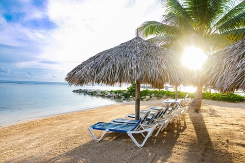 Natural landscape, Beach, sunbed