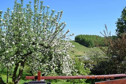 Agrowczasy u Bartka Farm Stay in Pomeranian Voivodeship