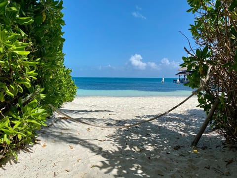 Beach, Sea view