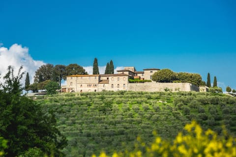 Castello La Leccia Farm Stay in Castellina in Chianti