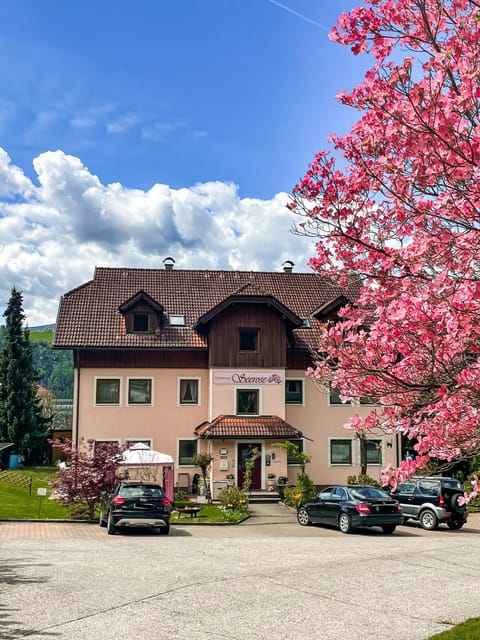 Ferienwohnungen Seerose in Dellach direkt am Millstätter See Apartment in Spittal an der Drau