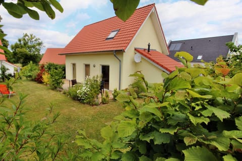 Property building, Garden, Garden view