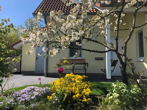 Property building, Spring