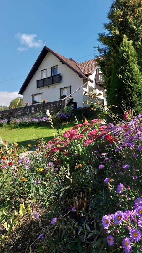 Casa Victoria Bed and Breakfast in Brașov County