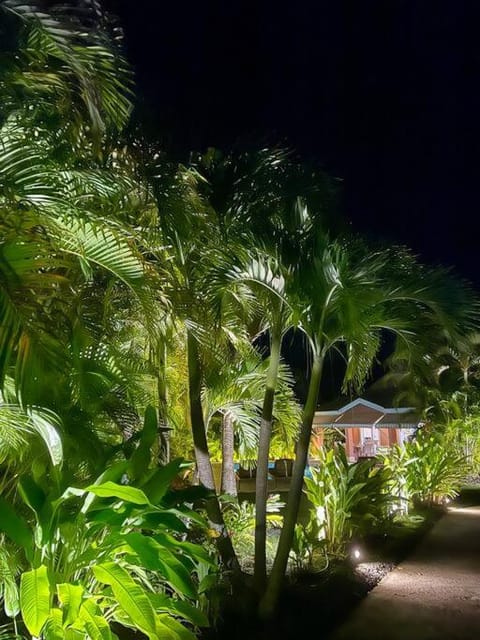 Night, Natural landscape, Garden, Garden view