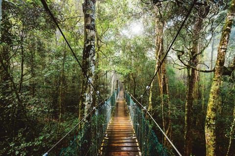 Natural landscape, Hiking